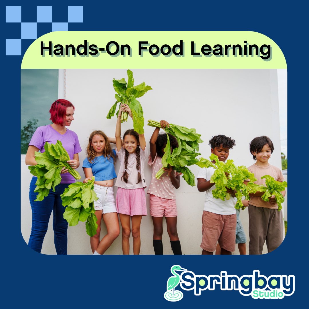 Springbay Studio tweet media