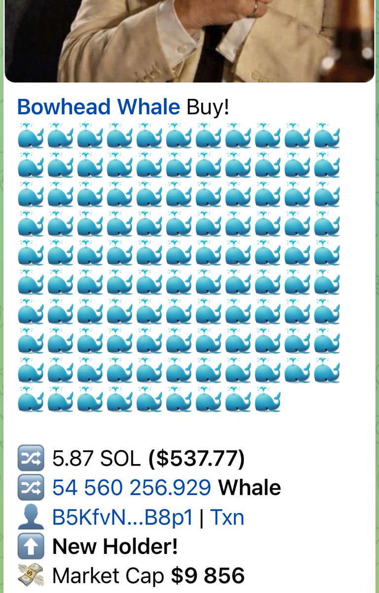 Big whales know what they holding

$Whale 

3Xnf7cpvuwrzZLMuiHmzXjG1WihWCnw9KsUdQMiKpump