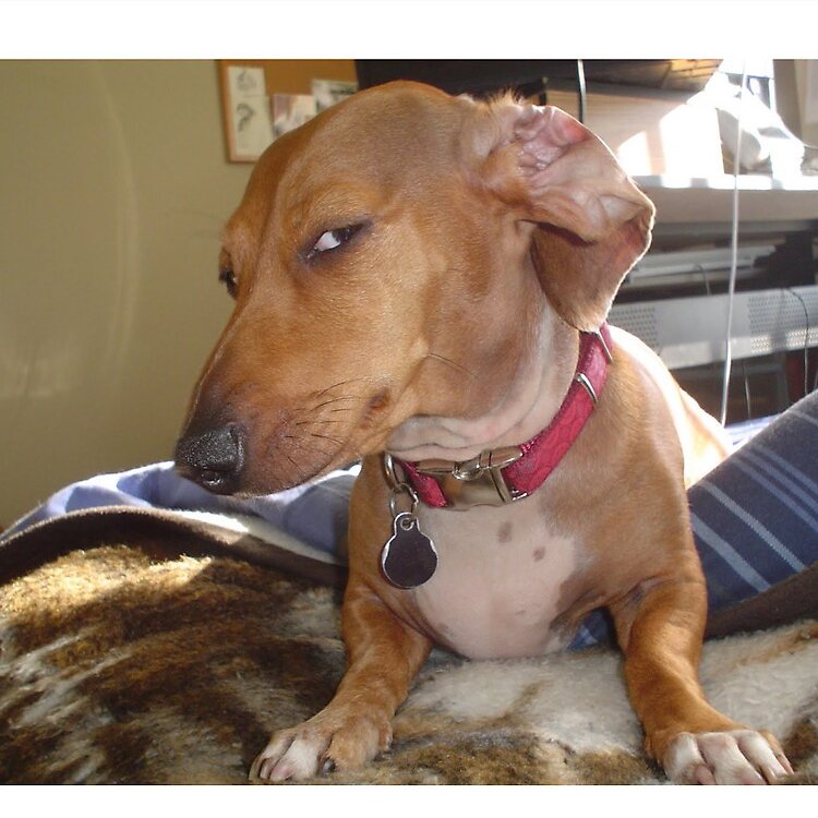 MagicSurprise320 tweet media