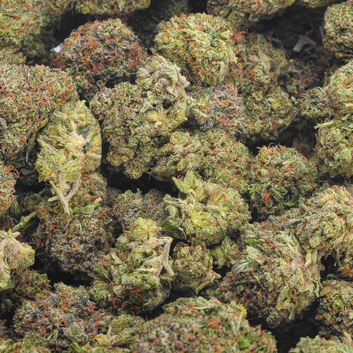 PURPLE DEATH BUBBA AAAA