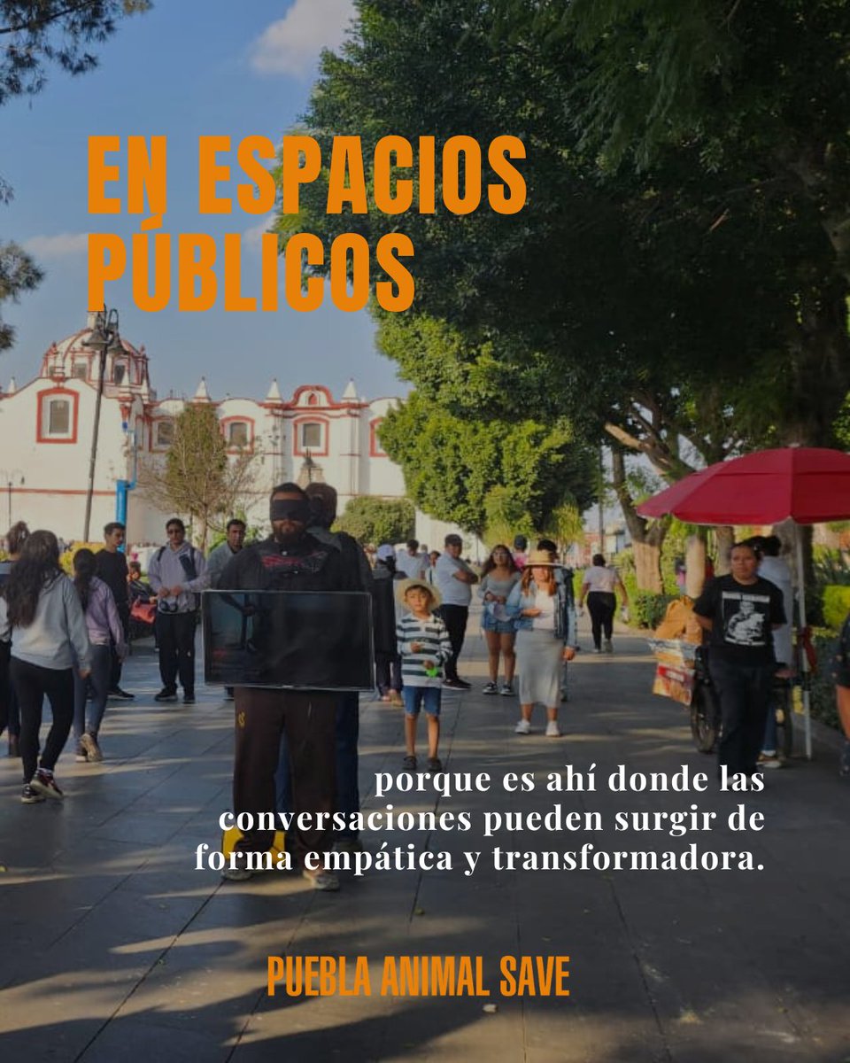AnimalSavePUE's tweet photo. Un Save Square no busca imponer, sino invitar al cuestionamiento y la reflexión. 🧡

¿Qué pasa cuando lo invisible se vuelve visible? Conoce más sobre esta acción. ⬇️

#Antiespecismo #AnimalSave #PueblaVegana #Veganismo #Activismo https://t.co/RGoe0dKqCv
