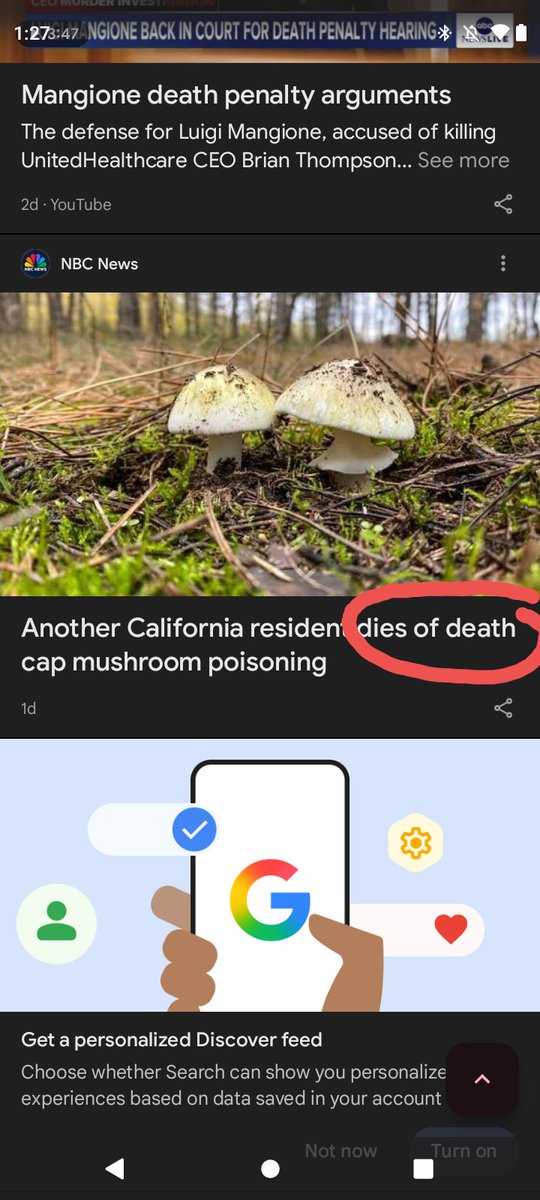 xavier 🍳🚸 tweet media