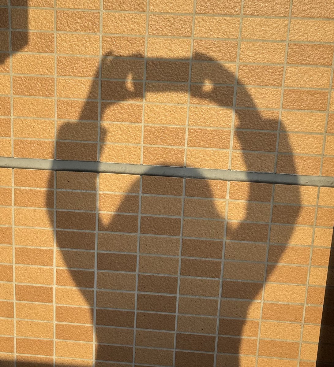 RinaOyamada1's tweet photo. 2/5㈭おはスマイリーナ☀️
学級閉鎖も終わり、今日から娘ッチ学校行きました🏫
#スマイル弁当 を包む、布がくっつくランチクロス #KITINTO
包むだけでクロス同士が密着固定され、保冷保温効果もあり!!結ぶ手間がないのが便利♪それも300円ショップよ😆実用的で画期的!!これはオススメ❣️
#今日も笑顔で https://t.co/AY1ZoLNH5N