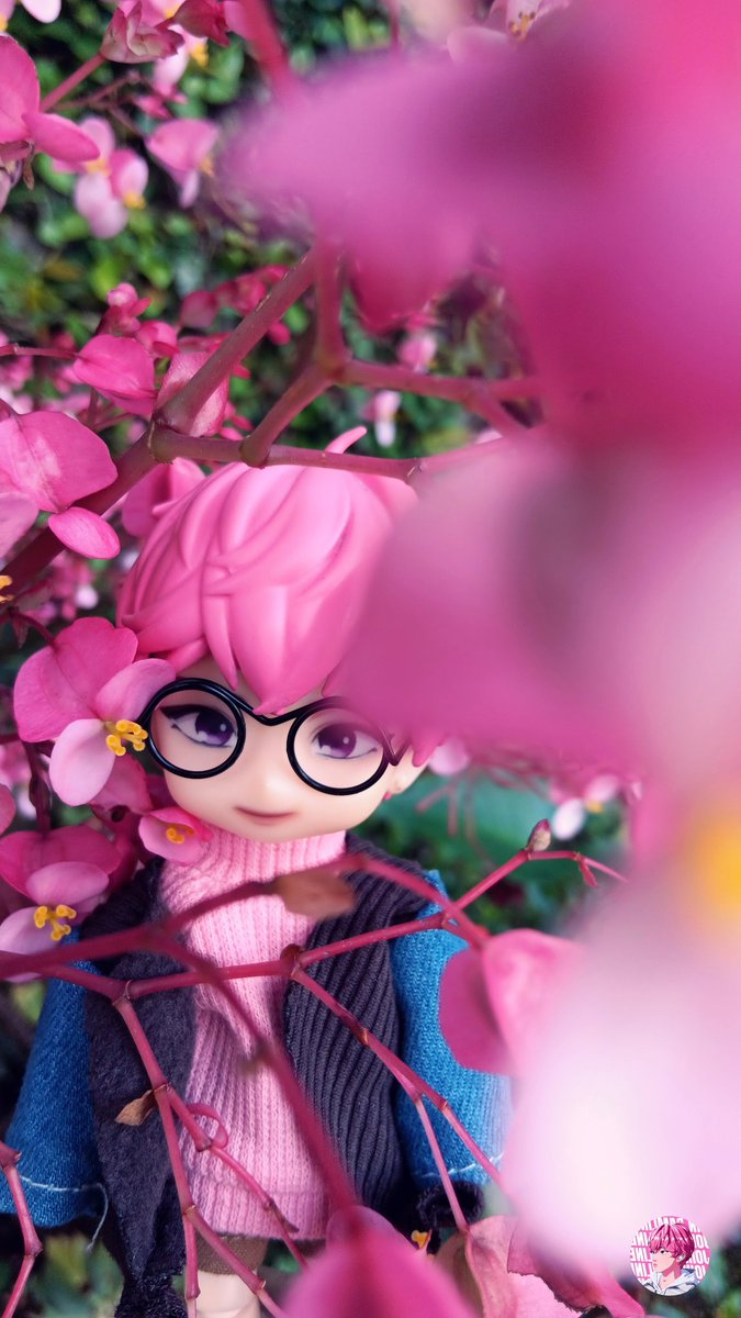 MoRi 🌳🌸 tweet media