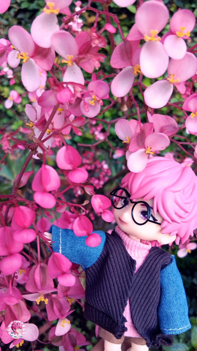 MoRi 🌳🌸 tweet media