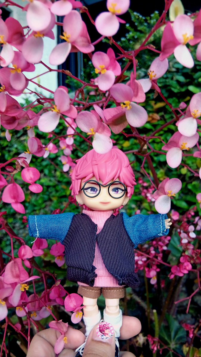 MoRi 🌳🌸 tweet media