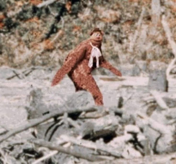 Jbye105's tweet photo. How it feels when you come back from an X hiatus https://t.co/DToAdmrQSm
