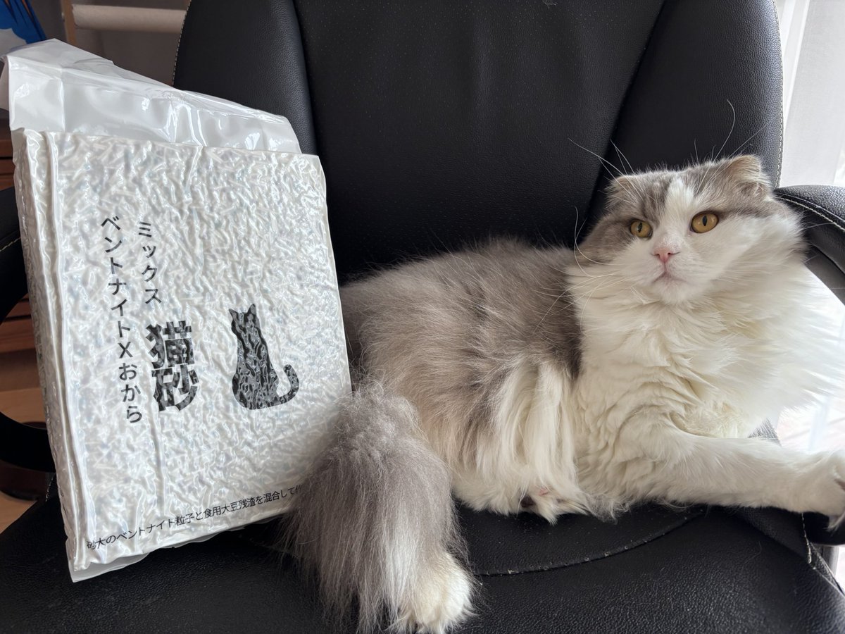 neko_oden123's tweet photo. お気に入りのベントナイトおからの猫砂😊 #PR
#originlife https://t.co/03lUXNGKJQ