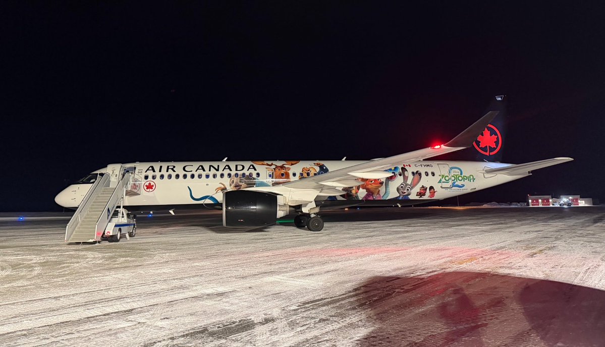 Dion Faulkner tweet media