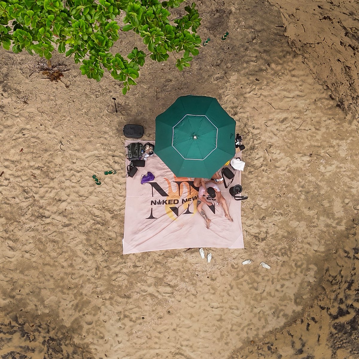 Naked Newbies tweet media