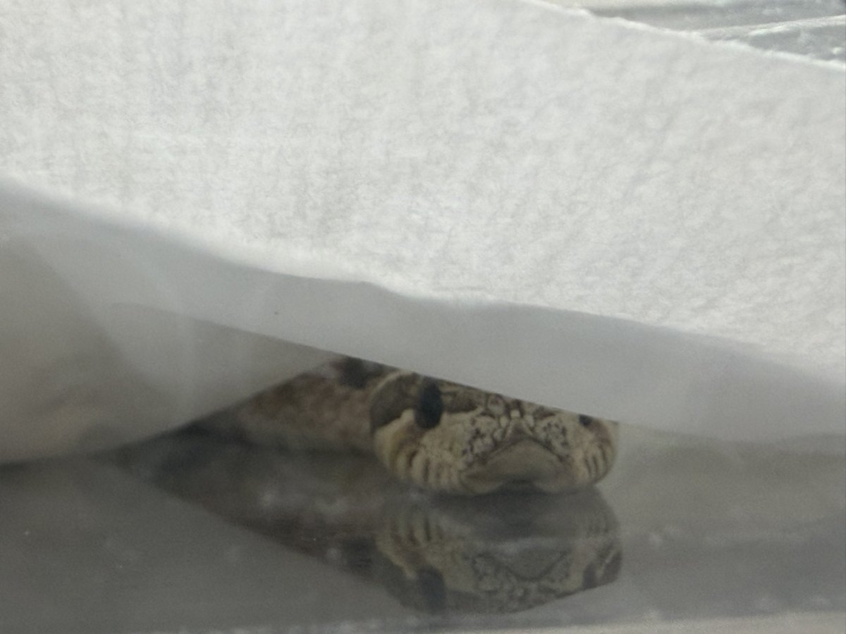 起きてゴゾゴゾやってると大体こうやって見にくる。
でてこないのはな〜ぜ〜？
