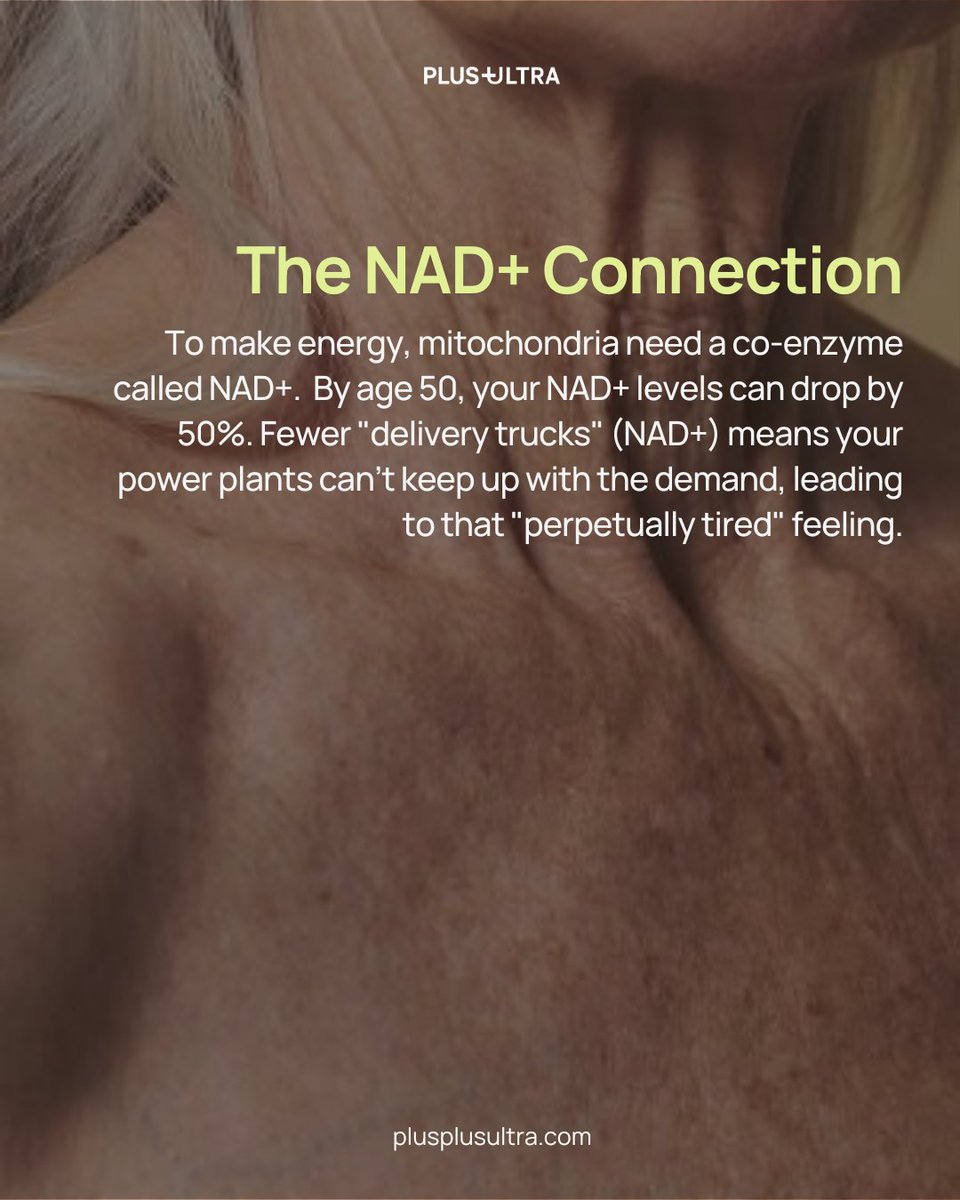 PlusPlusUltra_'s tweet photo. Tired of feeling tired? 

By age 50, your NAD+ levels drop by half, and your cellular "engines" start to stall. You don’t need more caffeine; you need cellular renewal.

UROPLUS+ targets the root cause with a two-system approach: Fix the Engine: Urolithin A for mitochondrial rene https://t.co/0paBCtbfCg