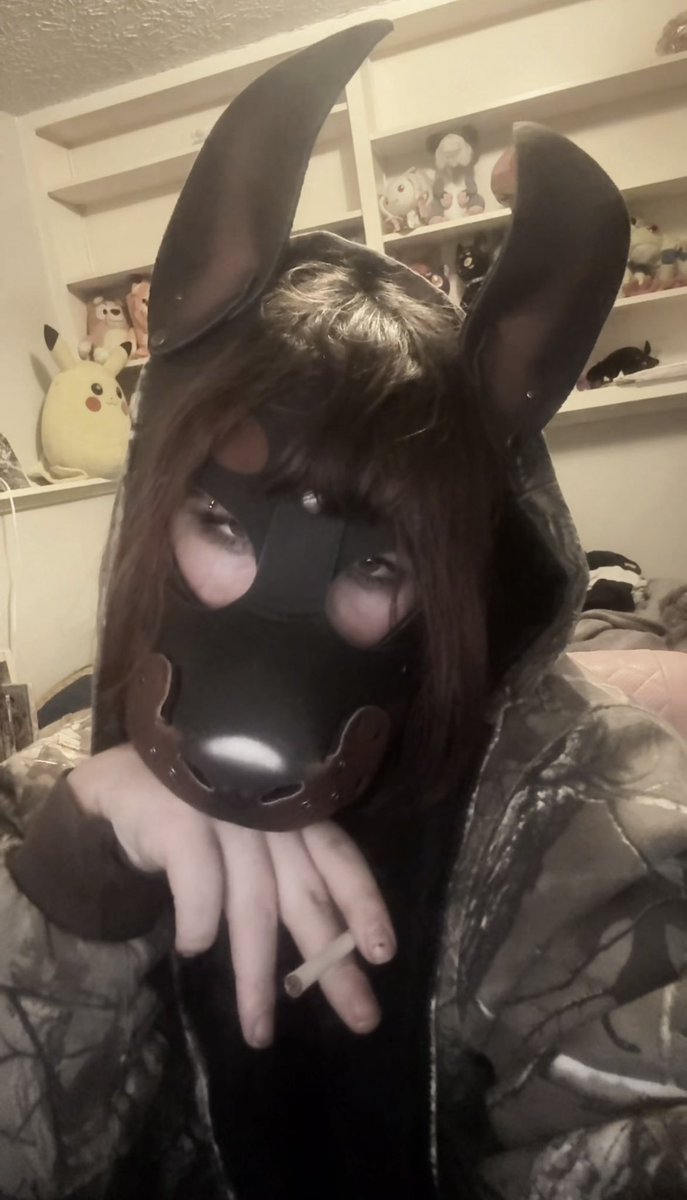 stellathebat's tweet photo. heard yall were back on the “hating pups” cycle of furry drama but idrc about that bc WOOF WOOF ARF BARK BARK https://t.co/5CzmoQ8ffk