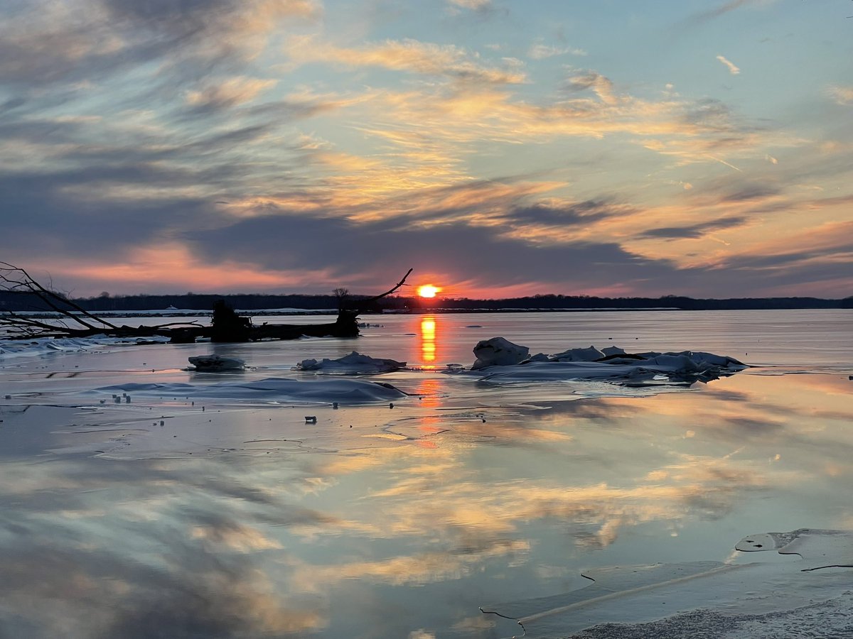 C on the scene tweet media