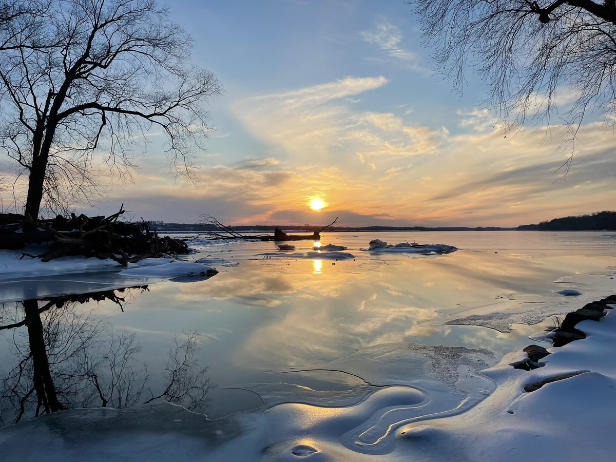 C on the scene tweet media