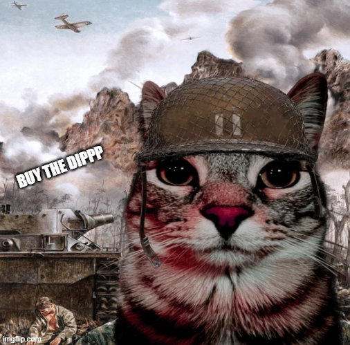 Altcoin holders : 2026 will be my year February :