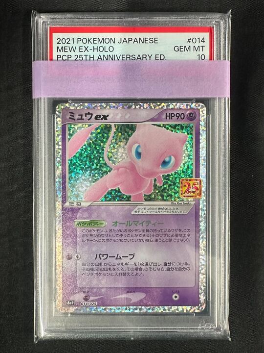 🌈みんなでおいわい ピカチュウの日 記念🌈 R団のサンダー 25th PSA10