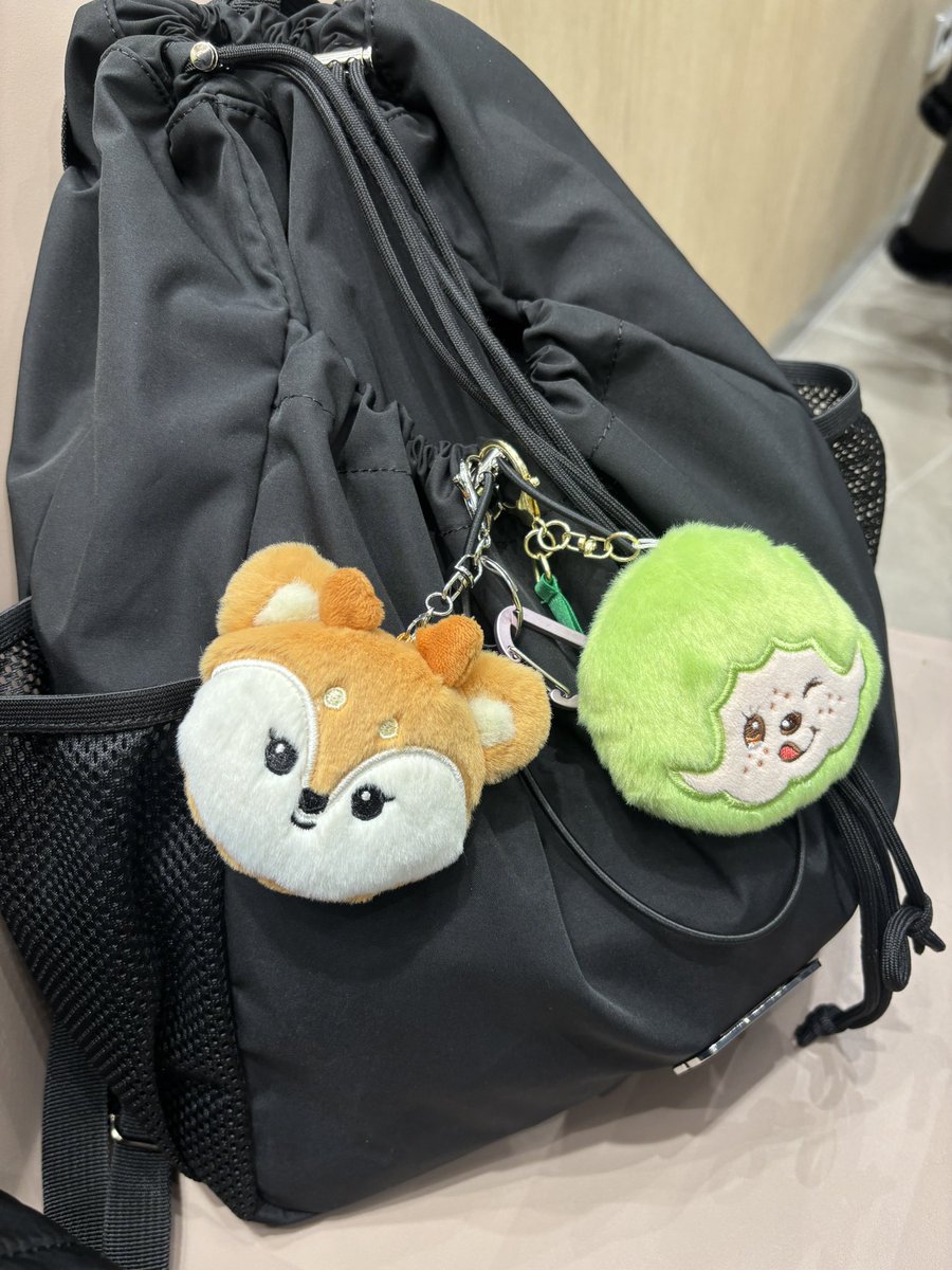 샤슴이랑 몬치치랑 여행 시작💕