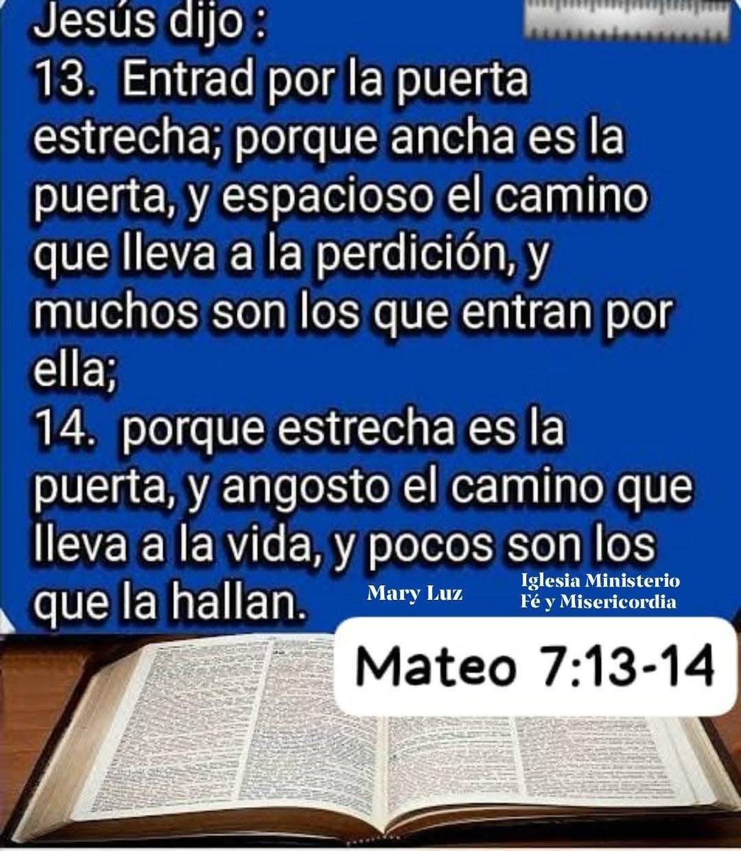 fernando garcia (@fernand81566062) on Twitter photo 