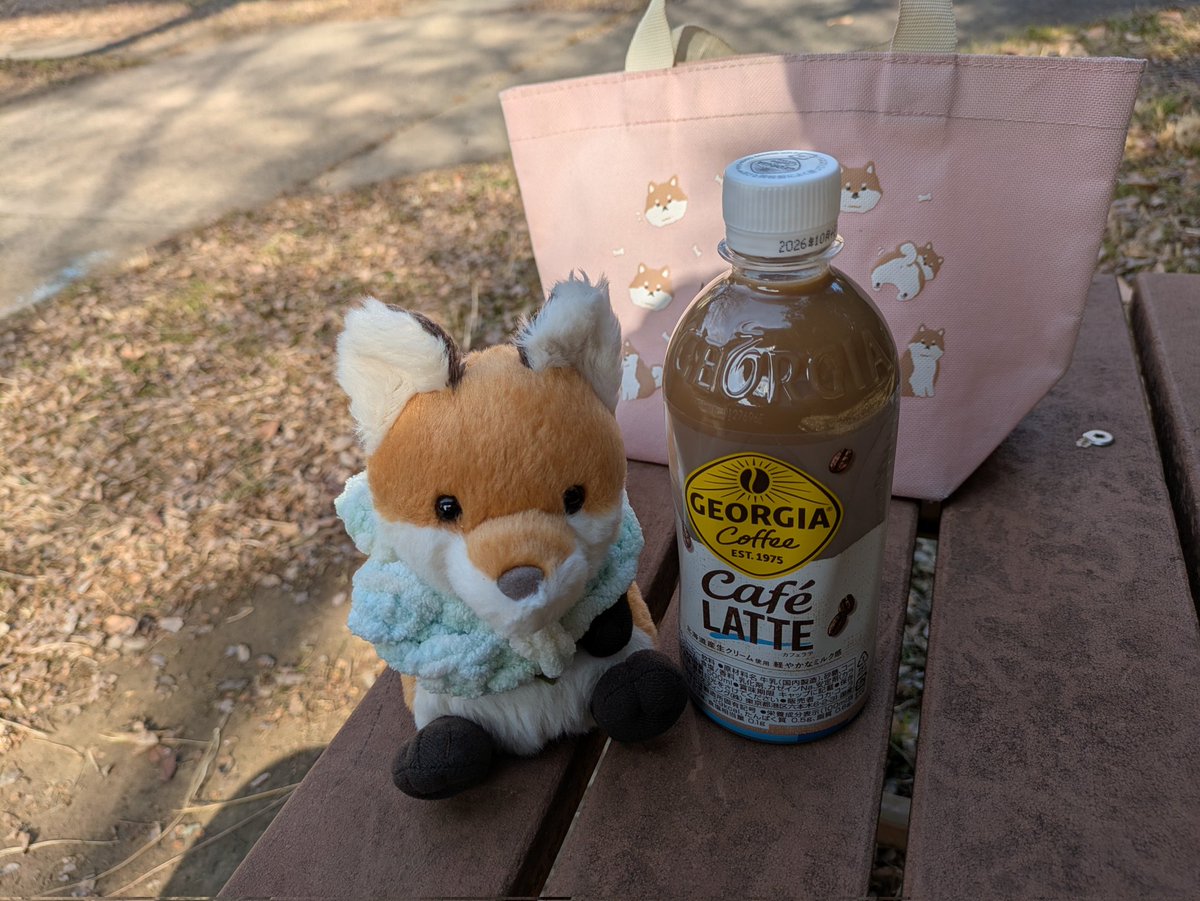 にゃー吉 (@nya_kichi_1215) / Posts / X