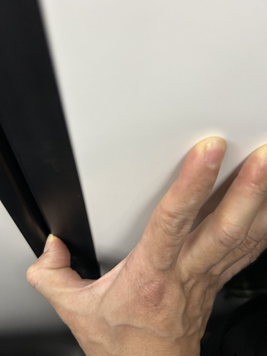 木头鱼 tweet media