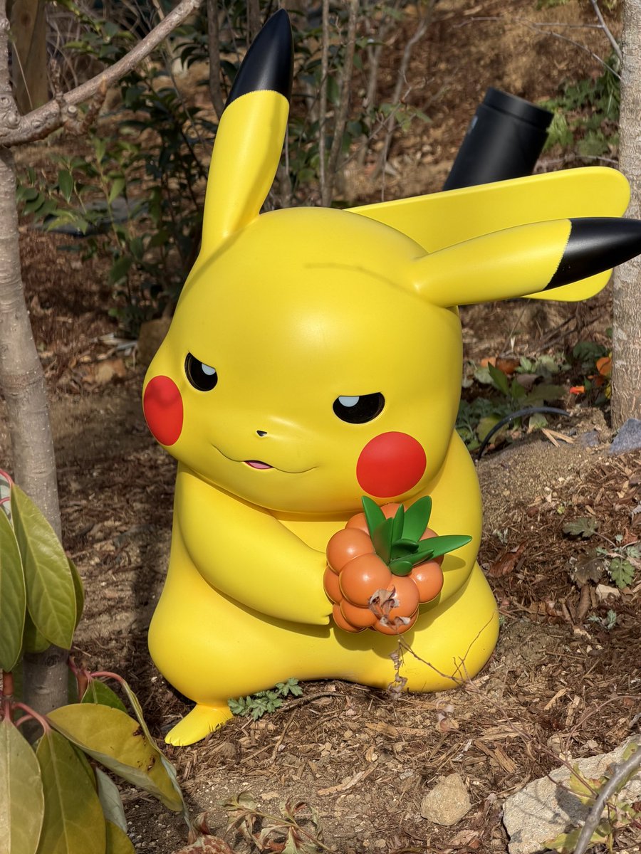 komagur0's tweet image. 悪い顔してんなあこの子😇

#ポケパークカントー
#pokeparkkanto