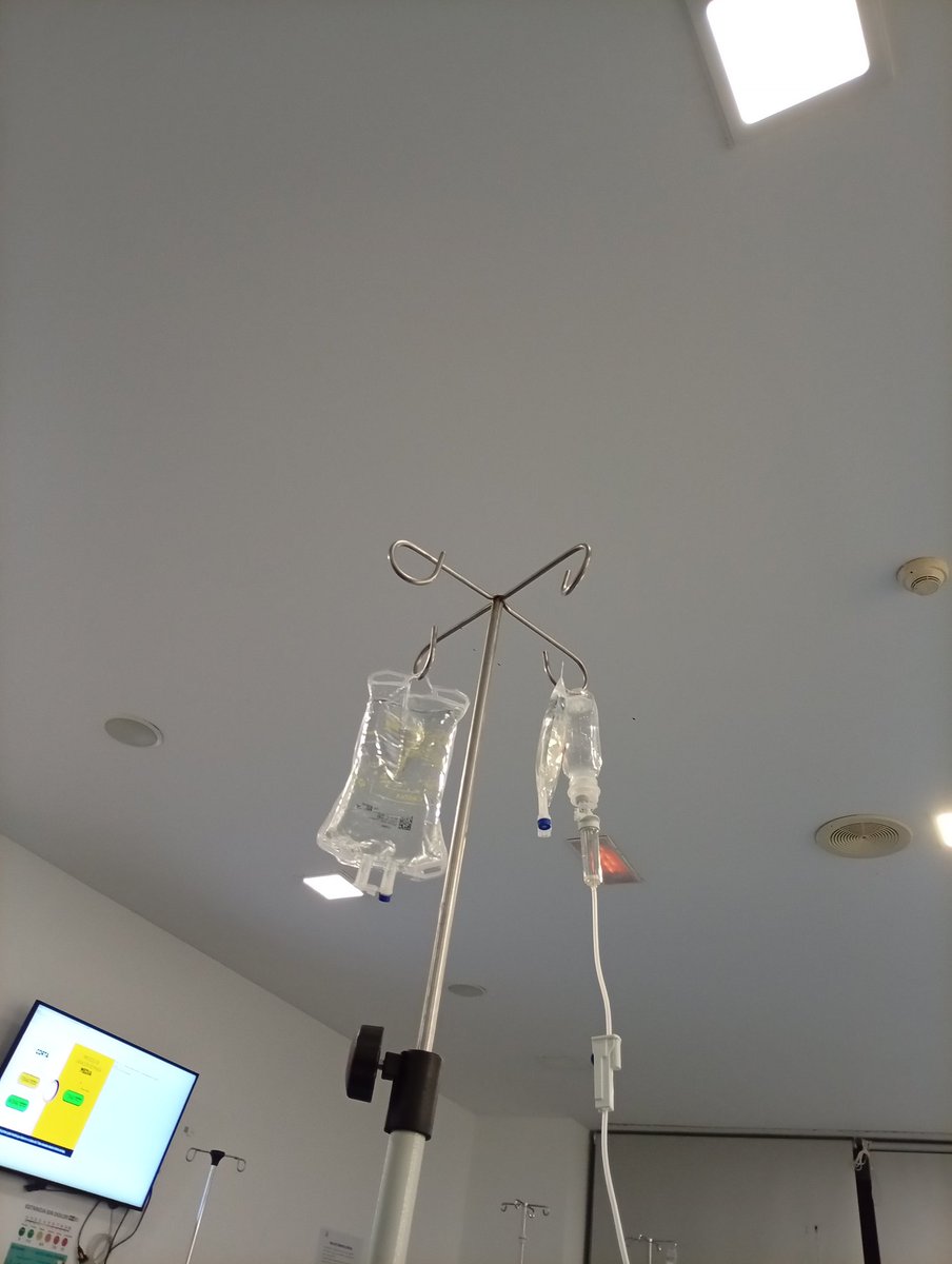 PomPomPomPomPomPomPomPomPomPomPomPomPomPomPomPomPo tweet media