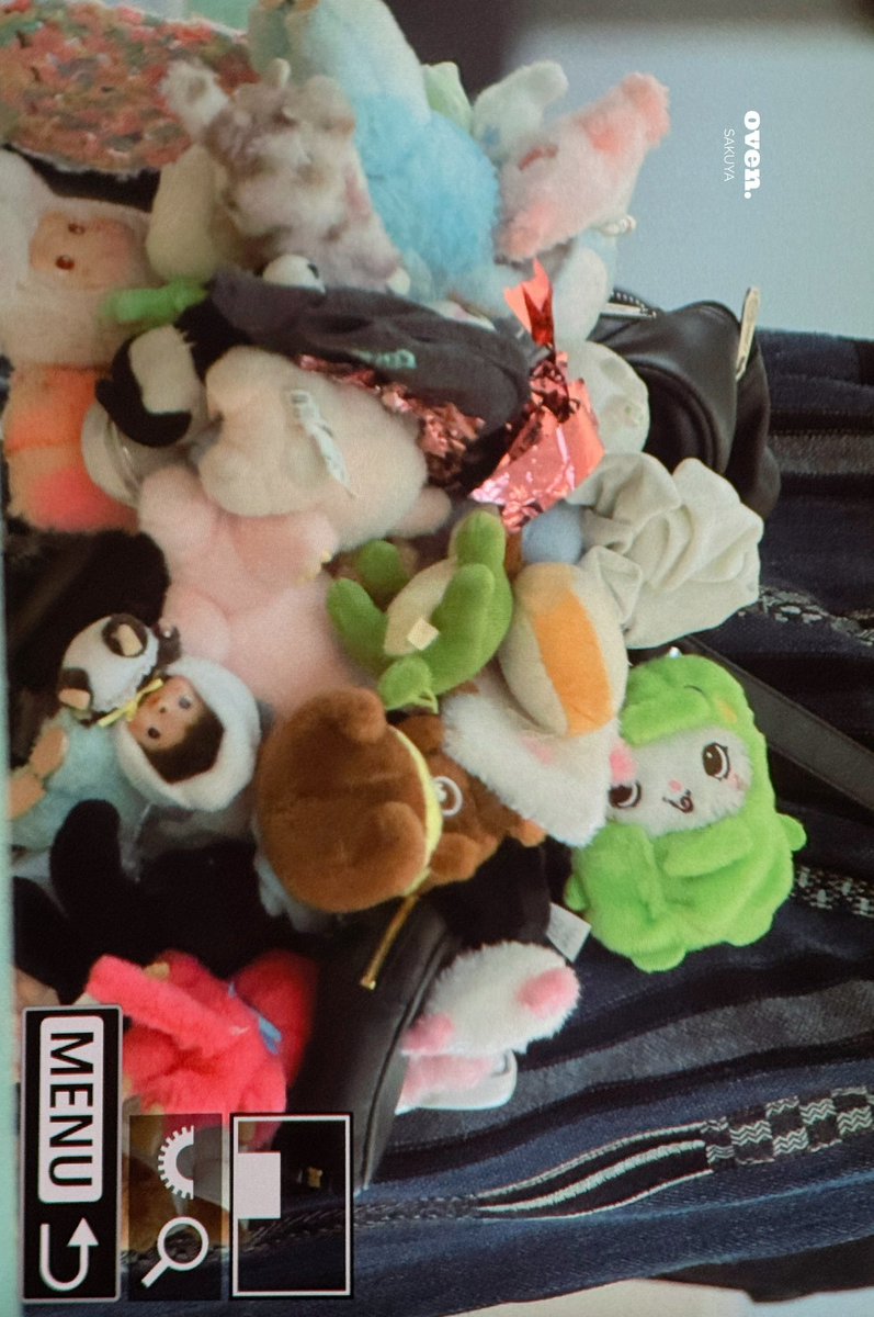 팡이한테 주댕치옷 입혀준거봐ㅠ ㅠ