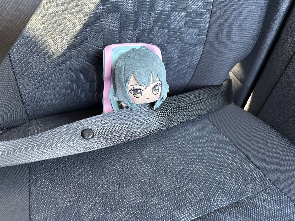 taha231estart's tweet image. ぬい用のチャイルドシートをやっと使える時が来た🎉

早速てまぬいに乗ってもらい、これからお買い物に出発🚗

🦔シートベルトもしてるから安全だね。
 #初星学園ぬいぬい部