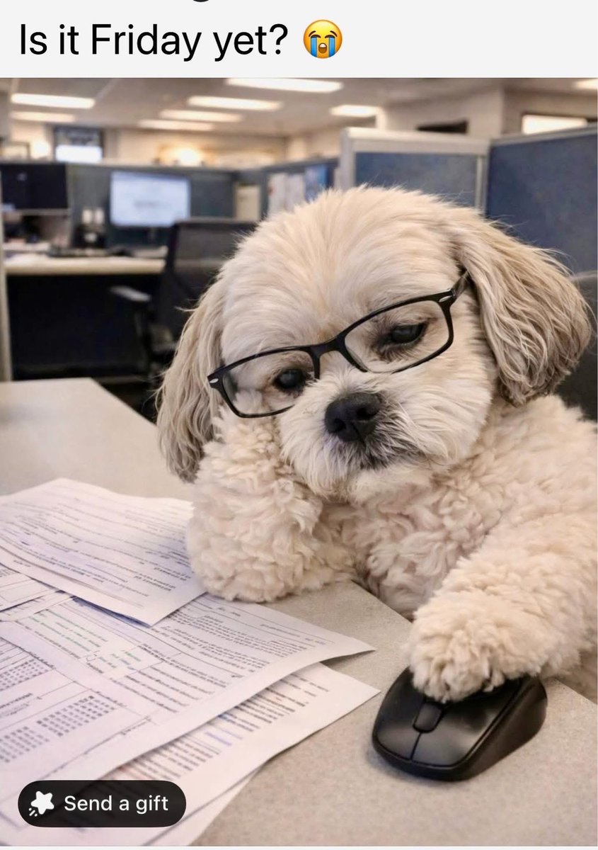 BackOffIBite1's tweet image. It is my Monday and I wish that it wasn’t.