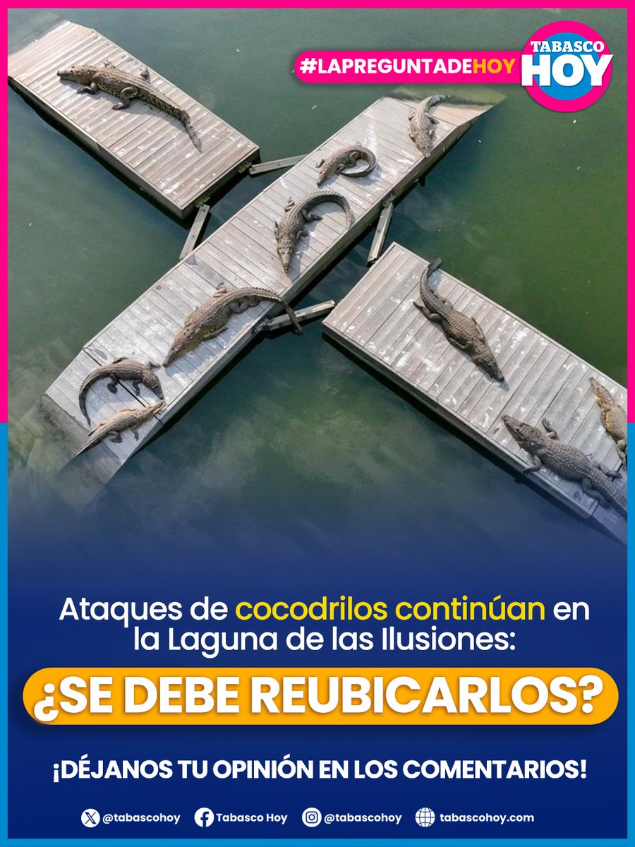 TabascoHOY's tweet photo. #LaPreguntadeHOY🤔| 🐊 La Laguna de las Ilusiones vuelve a estar en el centro de la polémica. ⚠️Tras recientes ataques de #cocodrilos, surge la pregunta que divide a los tabasqueños: ¿deberían reubicarse?
👉https://t.co/XgVUDpMN1S https://t.co/z0VJhlNm4R