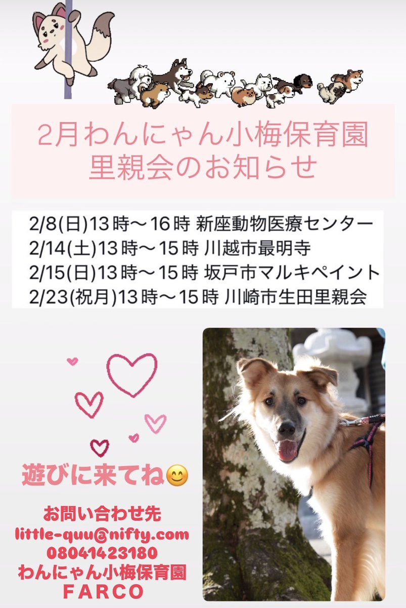 埼玉県＆神奈川県にて★2月里親会のお知らせ★みんなで運命の里親さんを待っています🥰

お問い合わせ先
little-quu@nifty.com
08041423180

わんにゃん小梅保育園
ＦＡＲＣＯ