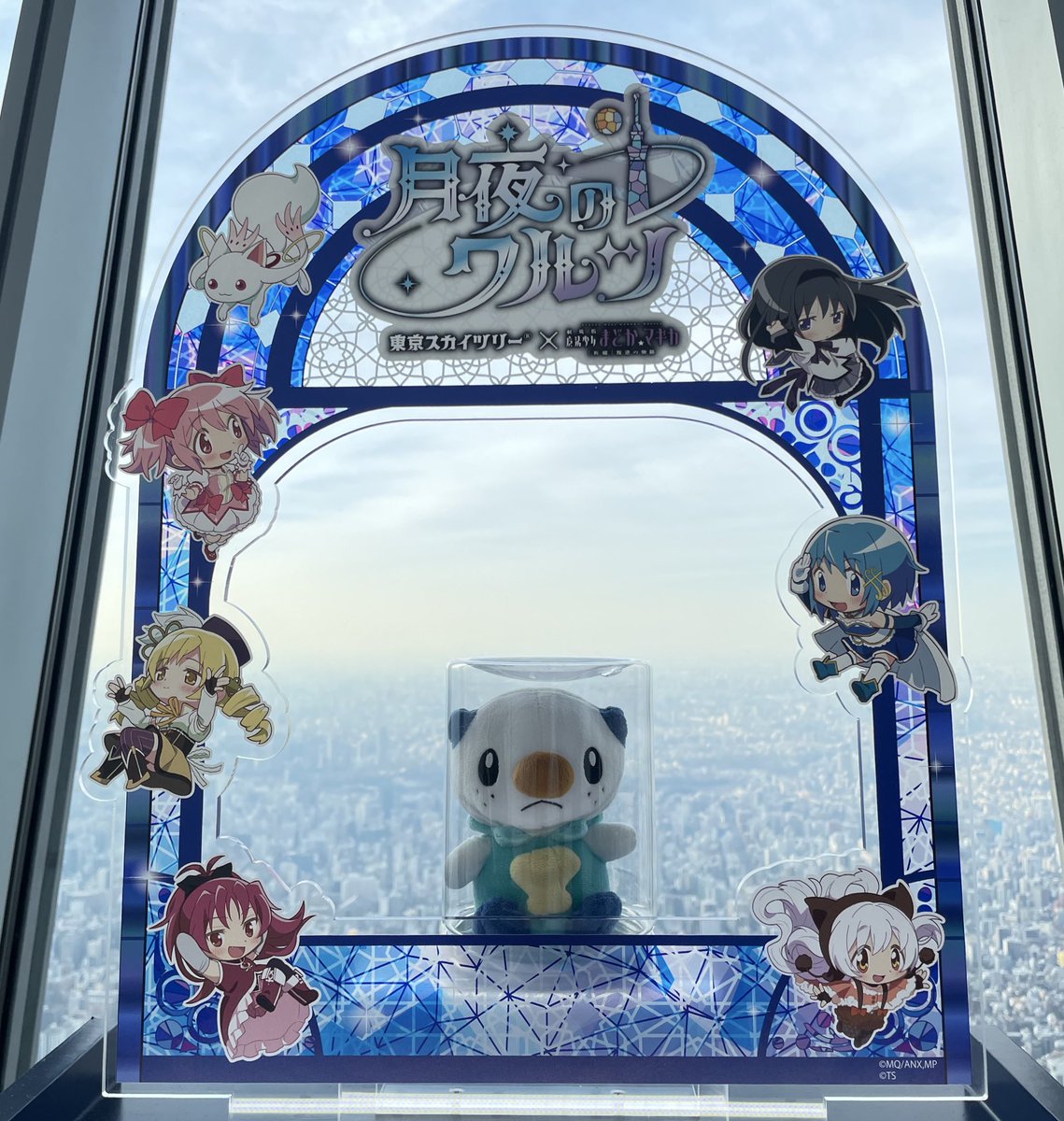 ミジュマルといっしょちゃんねる (@nuinui1103) on Twitter photo 