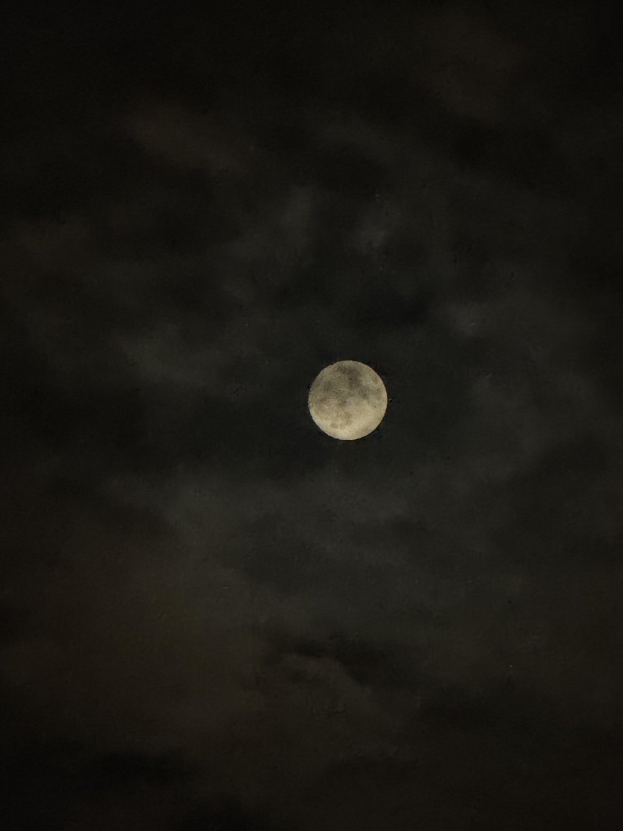 zencsdf's tweet image. Shining brighter than the city lights