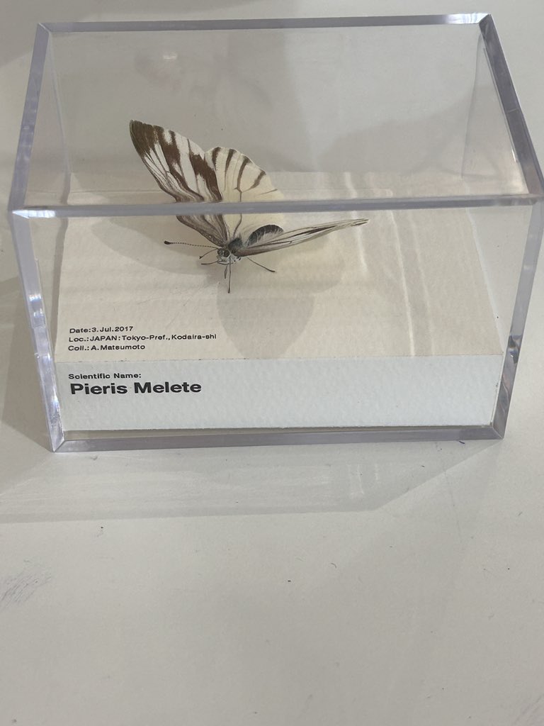 ^______^ (@can_i_b_u___) on Twitter photo 