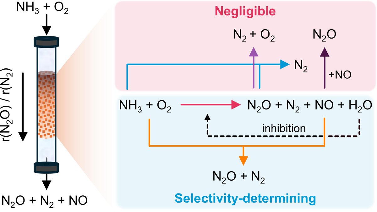 Javier Perez-Ramirez tweet media