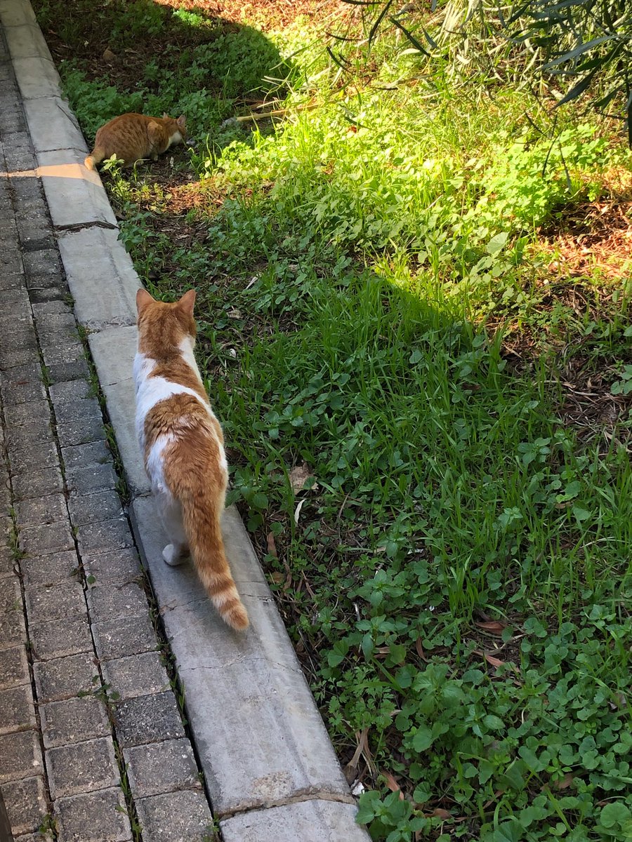 Marie Nassar3 tweet media