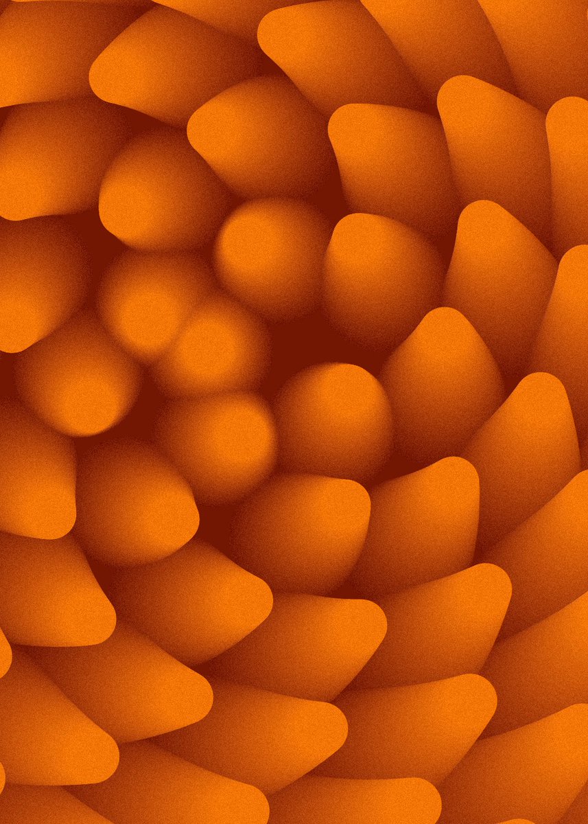 Lammetje tweet media