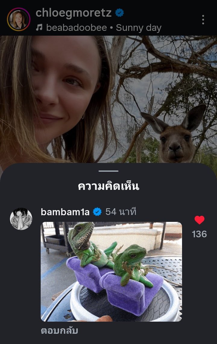 เอ็นดูน้องแบมตอบกลับด้วยgifในไอจี Chloë Grace Moretz เพื่อนใหม่ของน้อง

#BamBamxLVatAO2026
#BamBam #LouisVuitton 
#AO26 <a href="/BamBam1A/">BamBam</a>