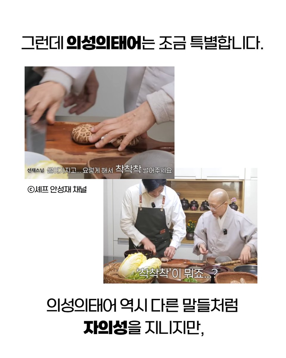 아르테&아르테팝 tweet media