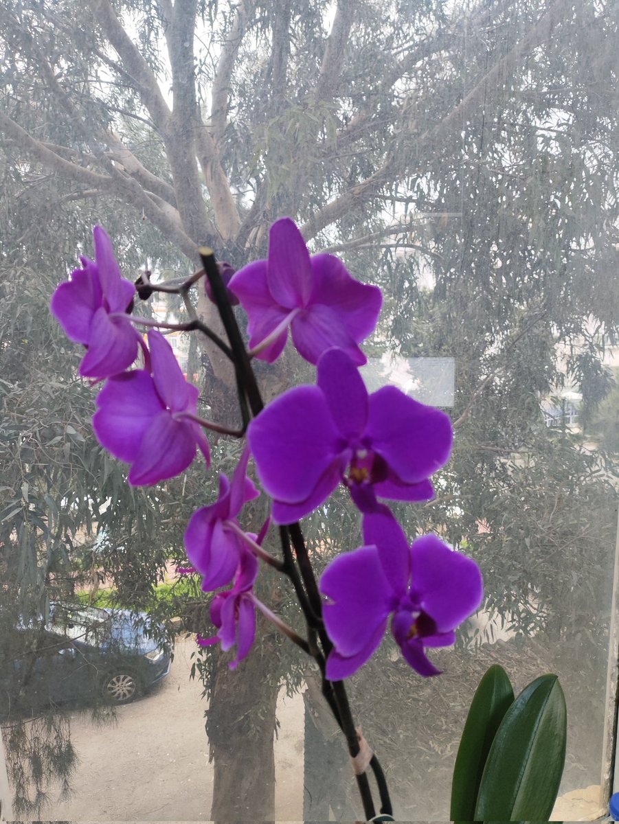 Güzel bir gün olsun herkese 🤗