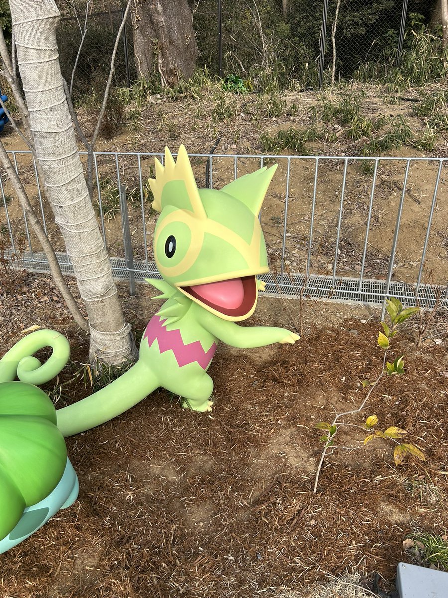 _oxo_metamon's tweet image. カクレオン！隠れてるWWWWWWWWWW