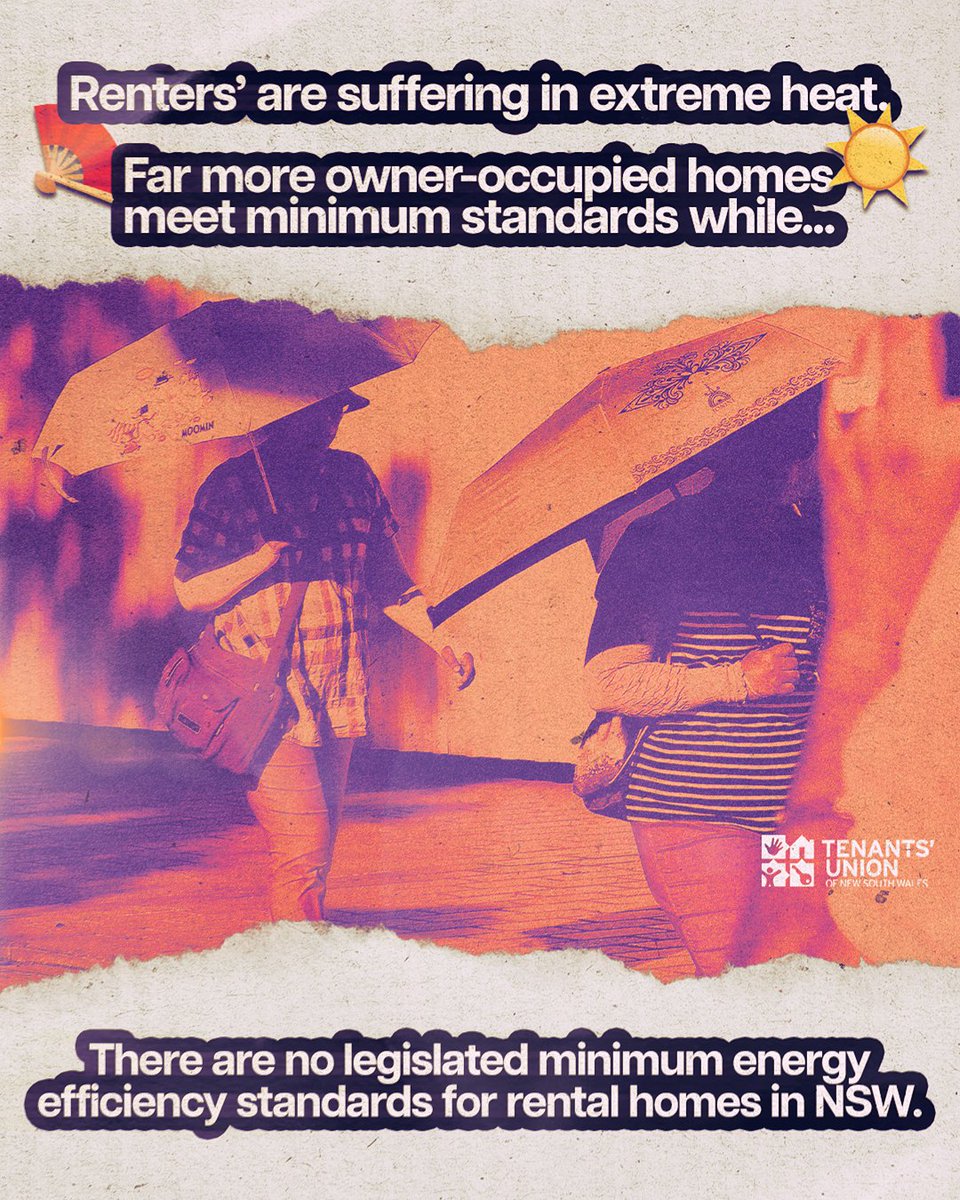 Tenants' Union of NSW tweet media