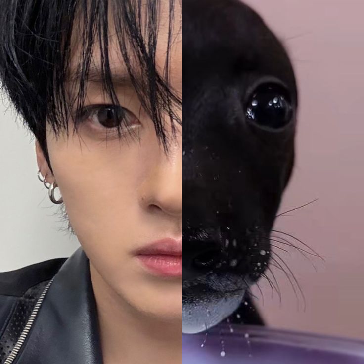 enzo (saw skz) 🇦🇷 tweet media