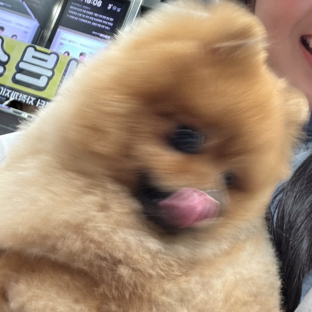bbottetochip's tweet photo. 코쌈 https://t.co/GU5a5tGffO