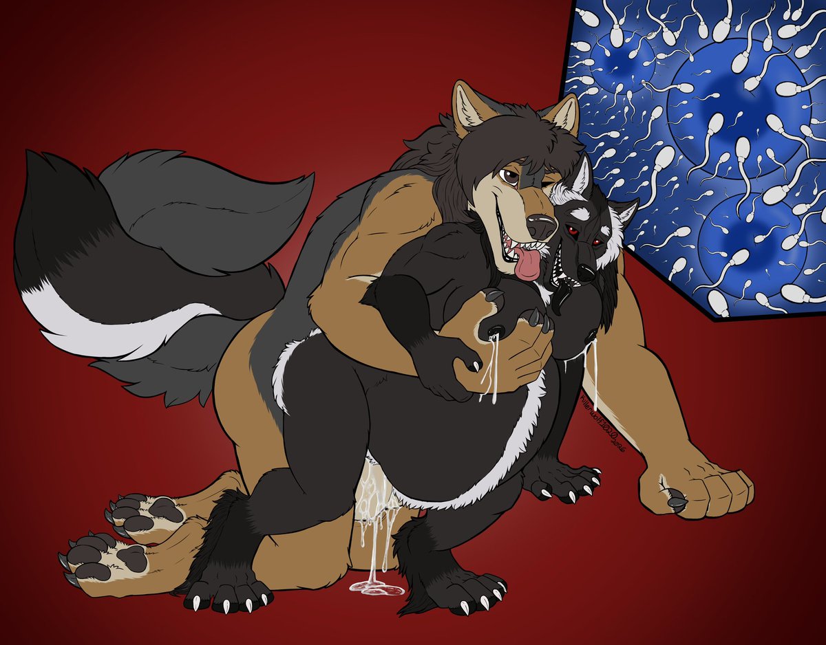 WolfDudeAiden's tweet photo. Aiden got with his friend Silver and both were in a spicy mood. Aiden didn’t say no so he bent her over and mounted her. His size breached right into her womb and after many loads, her womb and belly swelled and tits leaking like crazy. Big litter~
Silver and 🎨: @Killerwolf1020 https://t.co/zjAt6TupnF