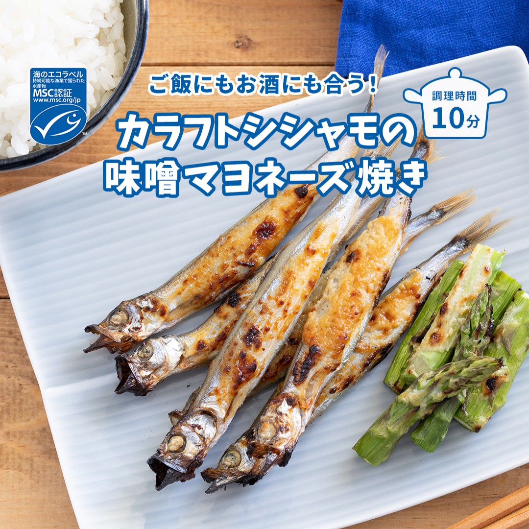 MSCジャパン tweet media