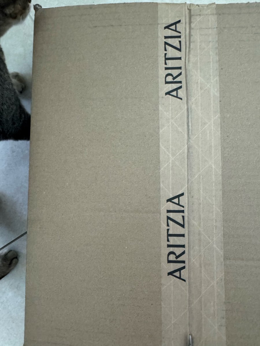 moved follow new account 𝜗𝜚 tweet media