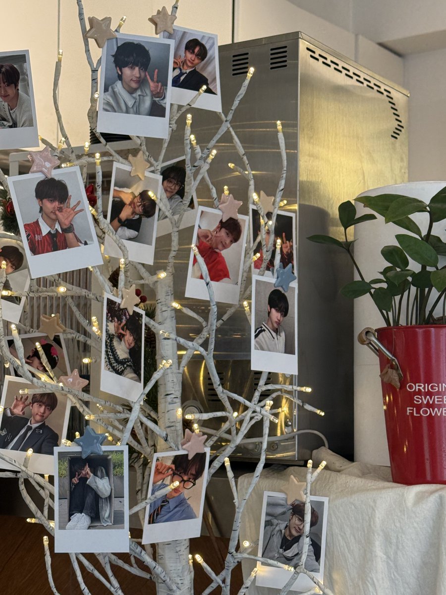 볼거리 넘쳐서 하이킥 백진희 됨
진수 생일 축하해 .ᐟ.ᐟ.ᐟ

#가장_찬란할_진수의_궤적
#루네이트 #진수 #LUN8 #JINSU