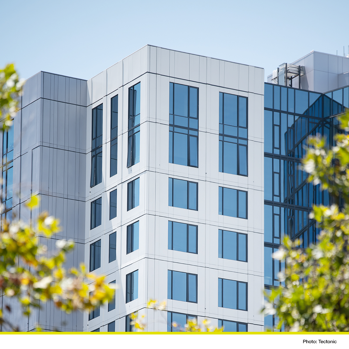 Quest Windows tweet media